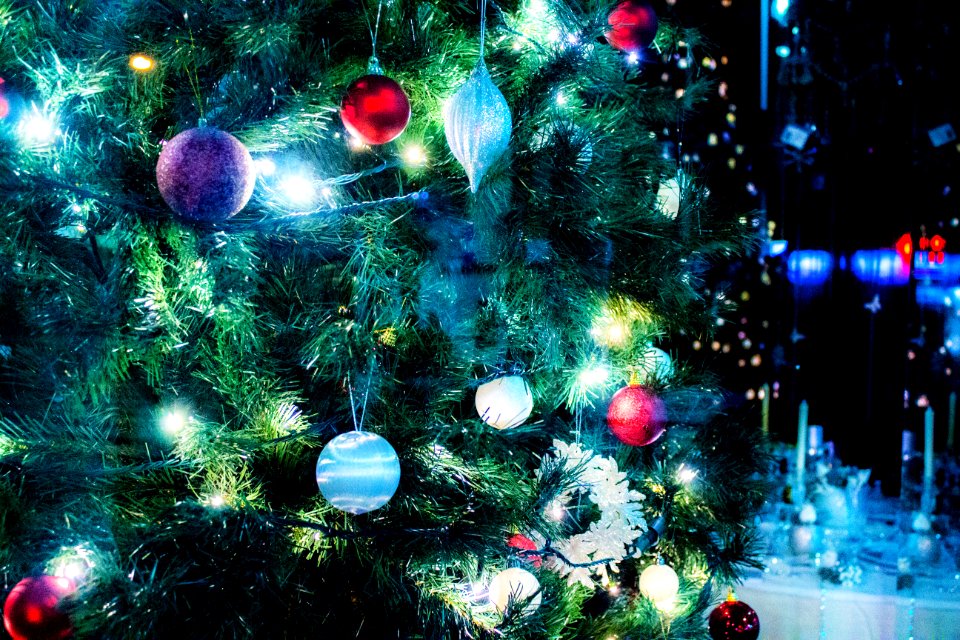 Tree02