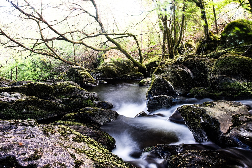 Waterfall stroemumg forest