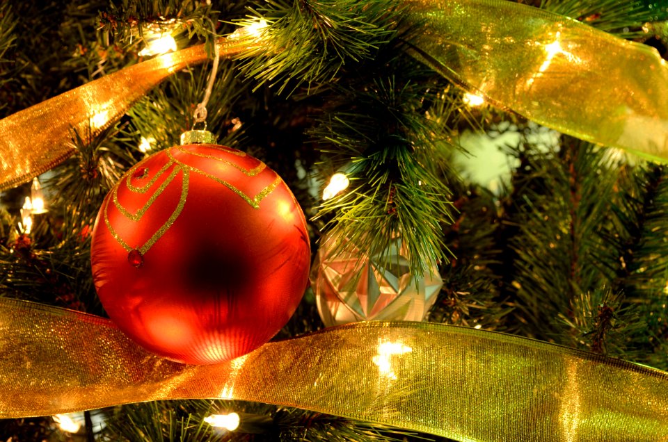 Holiday Tree