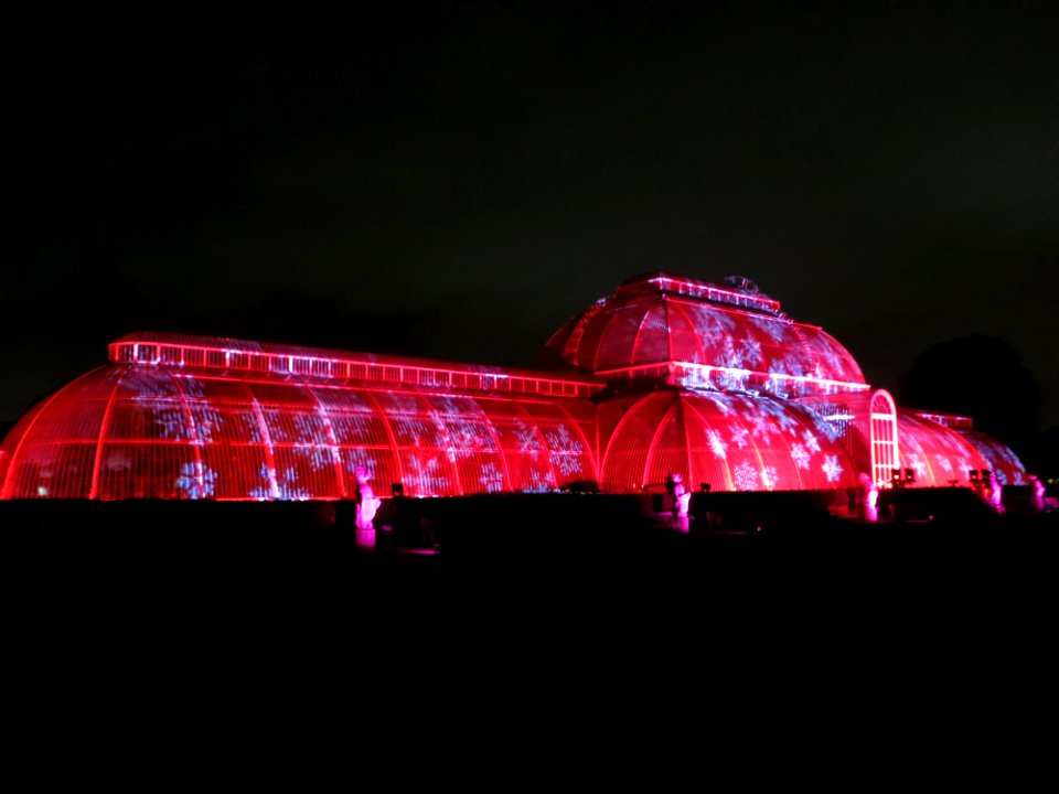 Kew Gardens Christmas photo