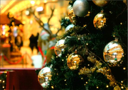 Christmas (17)