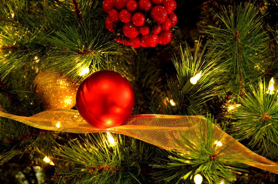 Holiday Tree
