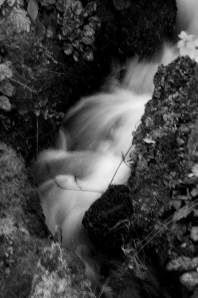 IMG7861