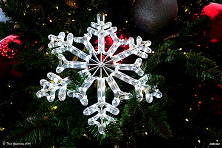 Snowflake -- Explored 10 December 2014