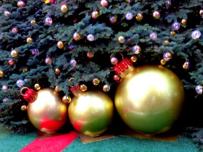 Under The Christmas Tree