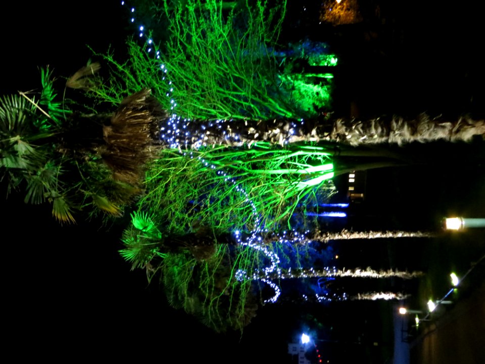 Bournemouth Christmas