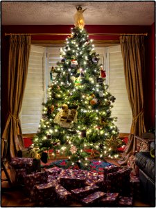 Merry Christmas Everyone
