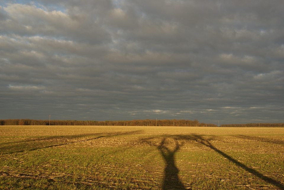 Agriculture meadow fields
