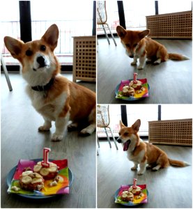 Suns 1st Birthday