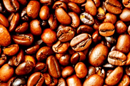 Brown Dry Roasted Coffee Beans photo