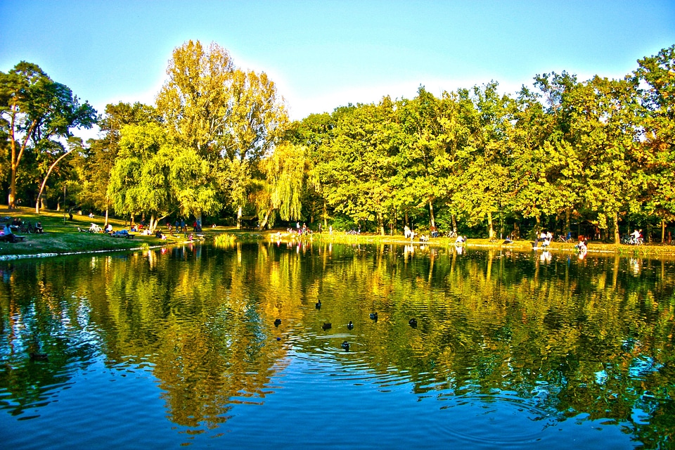 Lake pond reflection