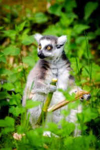 20160526Duisburg-820