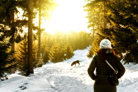 Rear View Of Woman In Snow Covered Forest photo