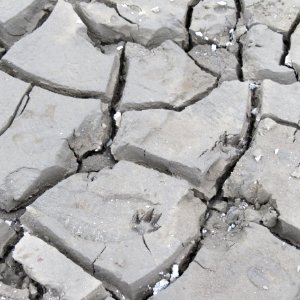 IMG7006