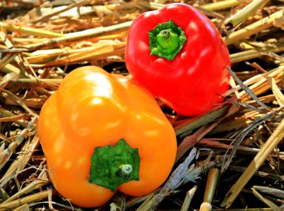 Red And Yellow Sweet Bell Peppers photo