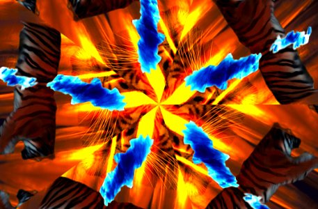 Kaleidoscope (84)