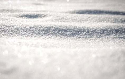 Snow Covered Ground photo