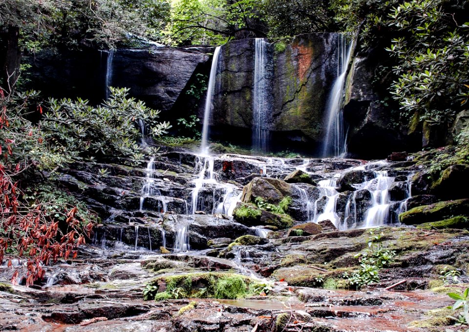 Close-up Of Waterfall Against Trees