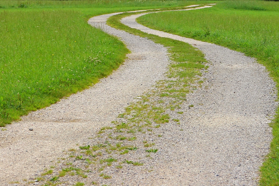 Meadow nature nature trail
