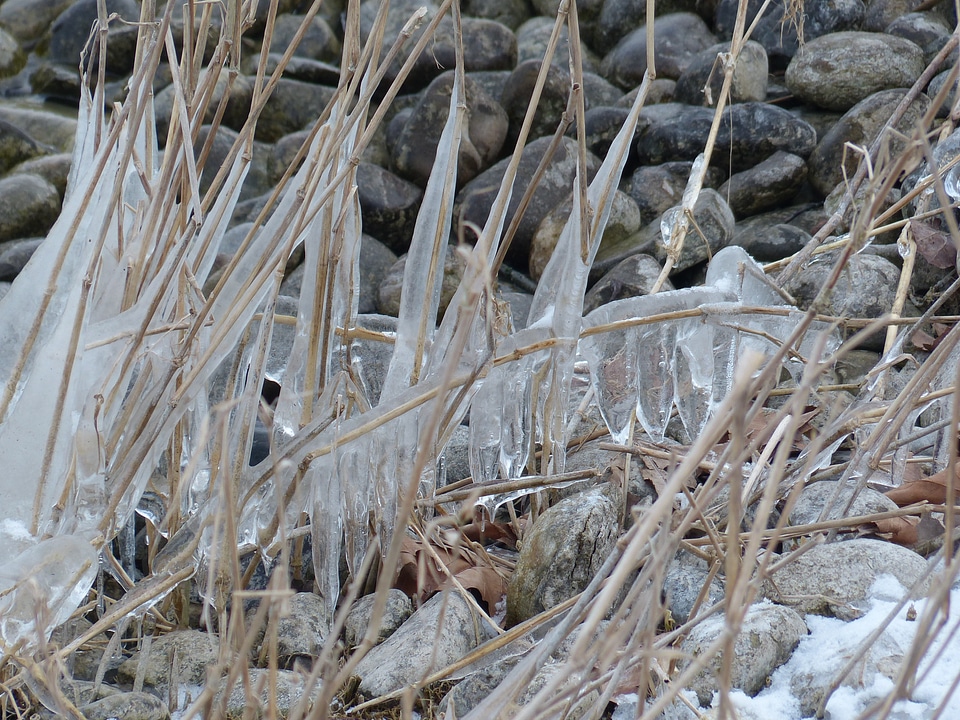 Iced eingeeist stones