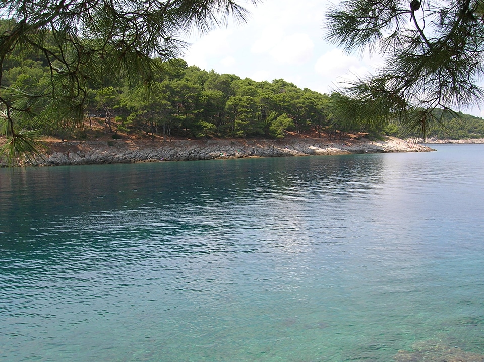 Coastline sea landscape