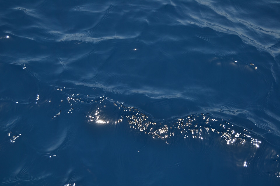 Water texture of sea surface