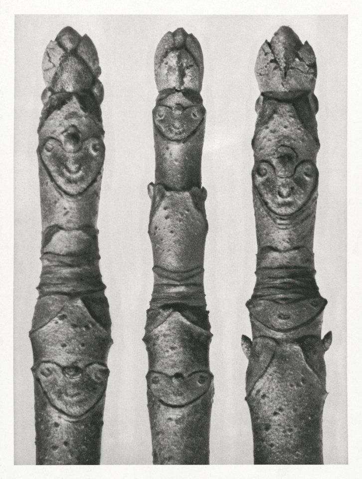 Aesculus parviflora (Horse–Chestnut) yong shoots enlarged 12 times from Urformen der Kunst (1928) by Karl Blossfeldt.