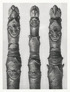 Aesculus parviflora (Horse–Chestnut) yong shoots enlarged 12 times from Urformen der Kunst (1928) by Karl Blossfeldt. photo