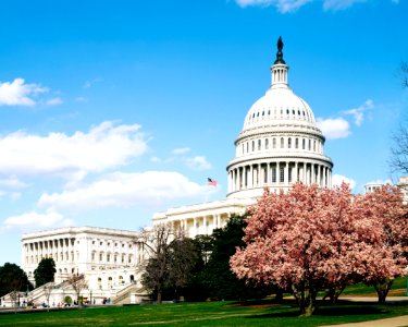 U.S. Capitol Building, Washington D.C. Original image from Carol M. Highsmith’s America, Library of Congress collection.