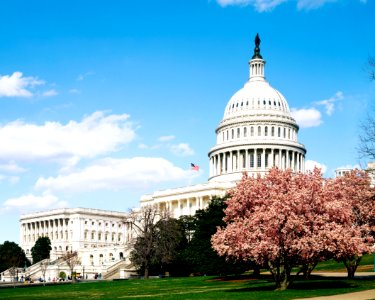 U.S. Capitol Building, Washington D.C. Original image from Carol M. Highsmith’s America, Library of Congress collection. photo