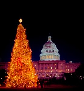 Christmas tree in Capitol Hill. Original image from Carol M. Highsmith’s America, Library of Congress collection. photo