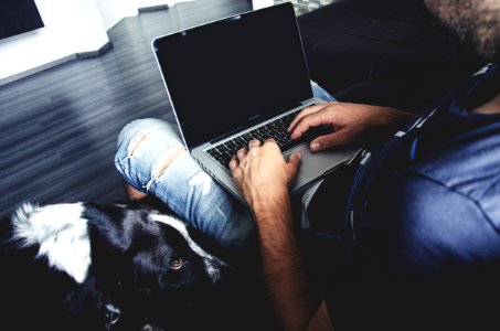 Man Holding Laptop Computer Typing While Dog Watches photo