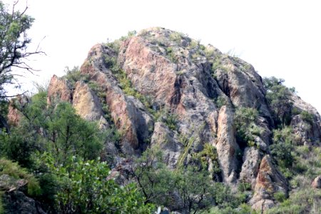 Green Leaf Trees Near Mountain At Daytime photo