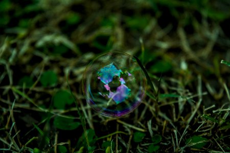 Bubble In Grass photo