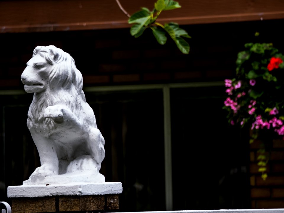 Lions Of Vancouver --eastvan-photowalk-vancouver-em10-75-300mm-20150517-P5170049
