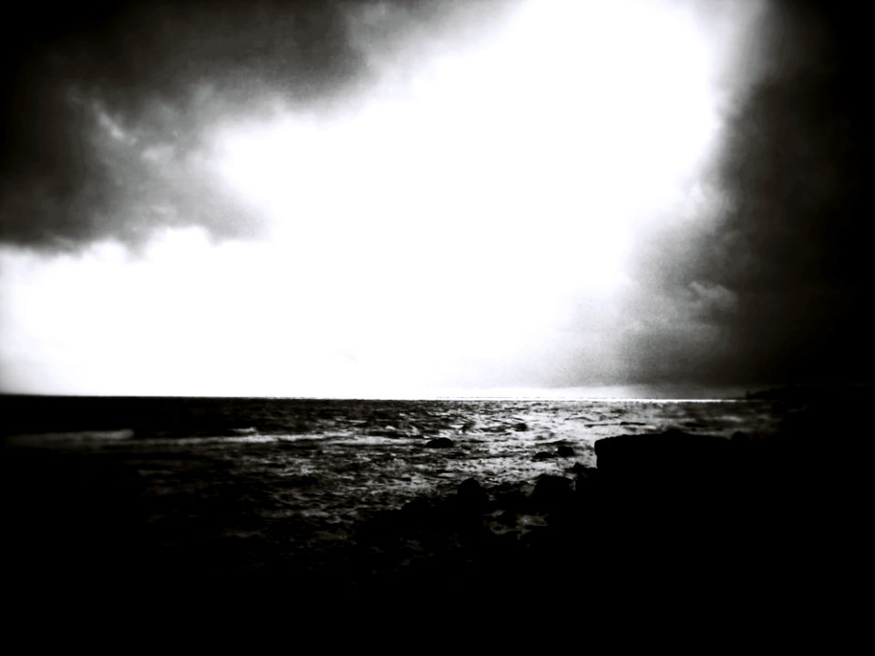 Seashore In Black And White