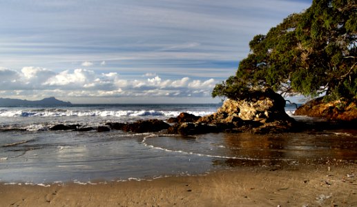 Waipu BeachNorthland NZ
