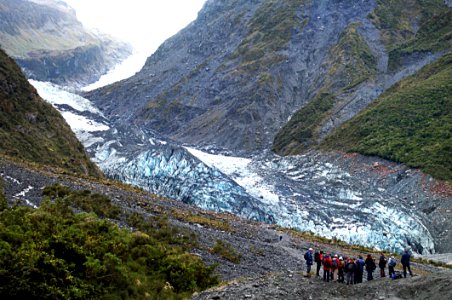 Fox Glacier NZ (1)