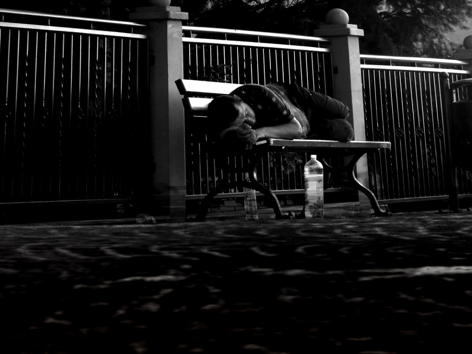 Man Asleep On Park Bench