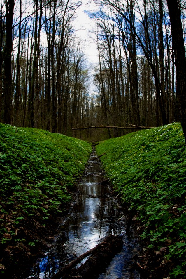 Park Zwierzyniecki