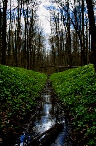 Park Zwierzyniecki