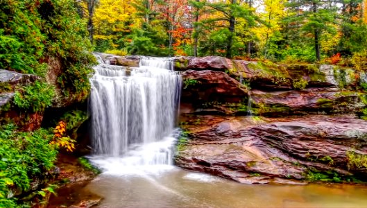 Waterfall In The Forest photo