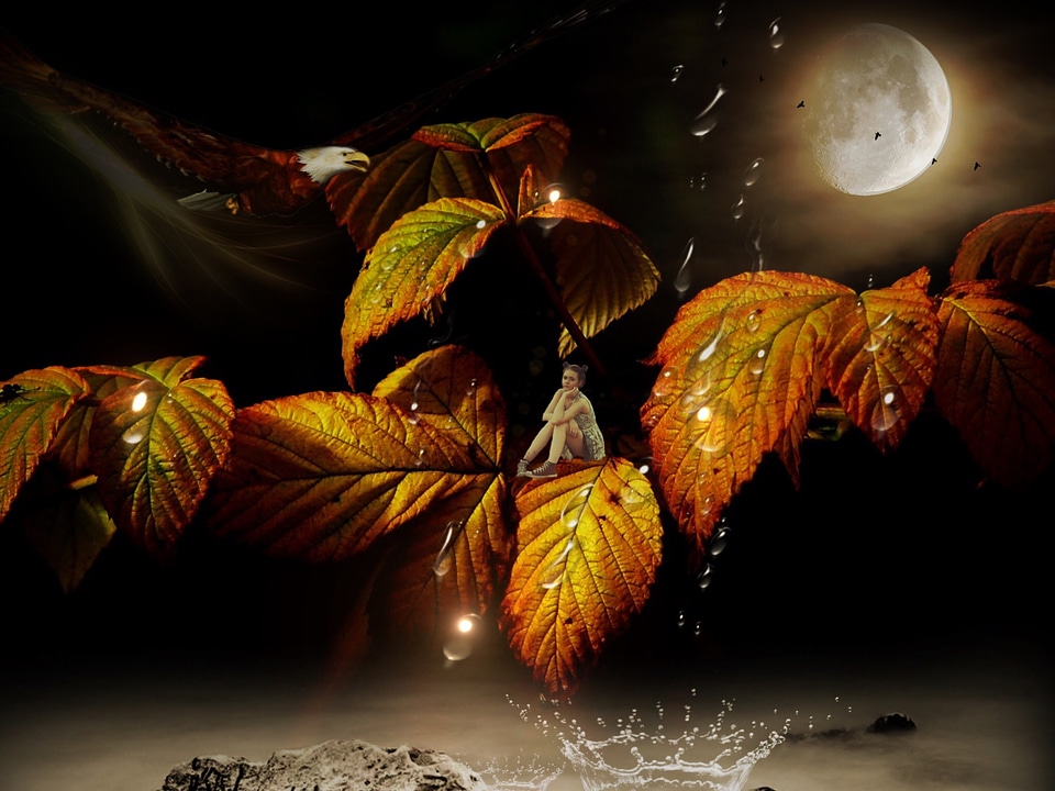Magical autumn leaves