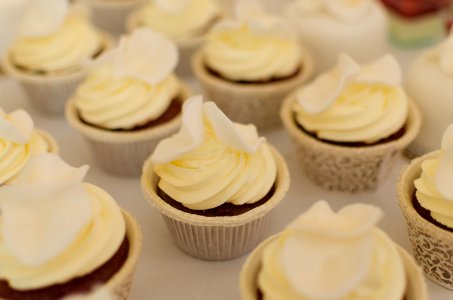 Frosted Cupcakes photo