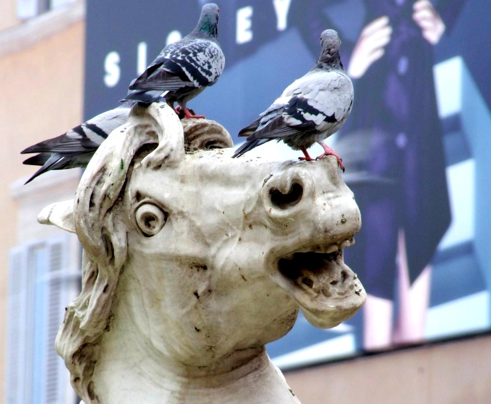 Italy Roma - Creative Commons By Gnuckx