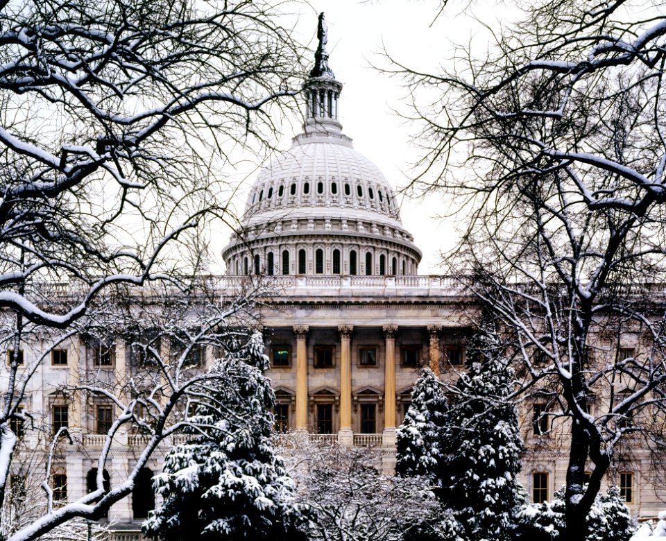 U.S. Capitol, Washington D.C. Original image from Carol M. Highsmith’s America, Library of Congress collection.