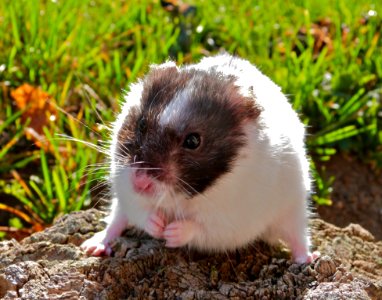 Enjoying The Sun