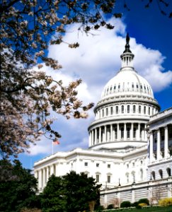 Capitol Hill in spring. Original image from Carol M. Highsmith’s America, Library of Congress collection.