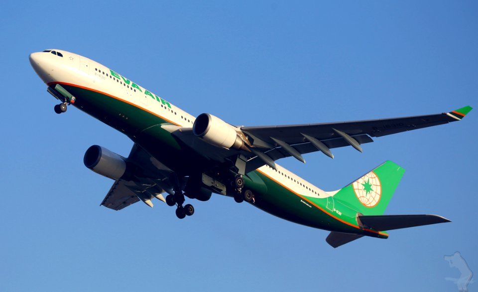 Eva Air Airplane