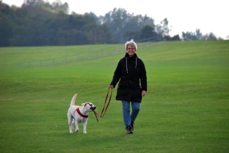 Woman Walking Her Dog photo